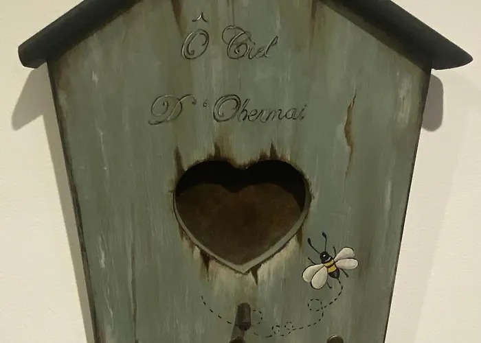 O Ciel D'obernai דירה אוברנאי